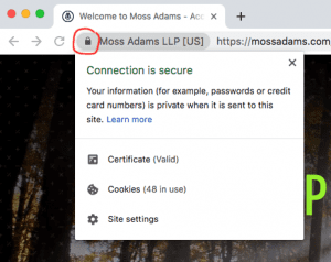 SSL Certificate on Web Page URL