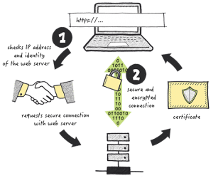 SSL Certificate Infographic