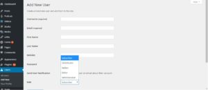 WordPress how to add new user